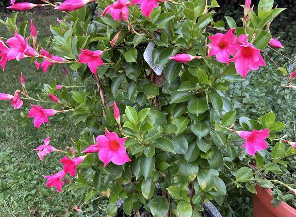 seminarhaus kraiburg appartments