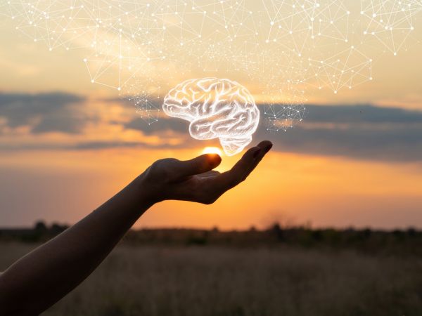Hand shows the brain