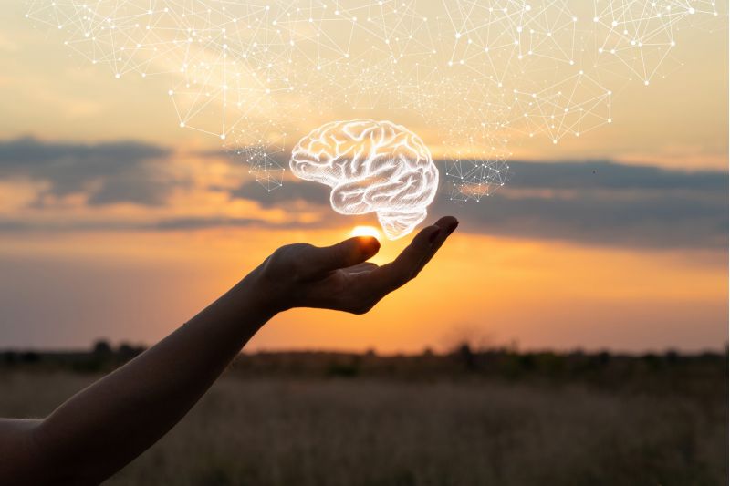 Hand shows the brain